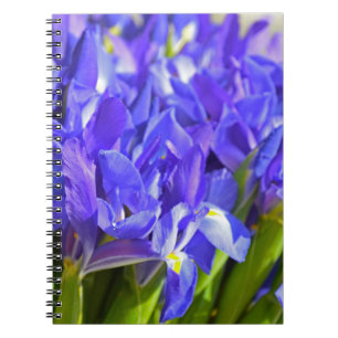 Iris-blommor Anteckningsbok