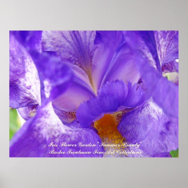 Iris Blomsterträdgård Sommarskönhet konsttryck Lil Poster (Framsidan)
