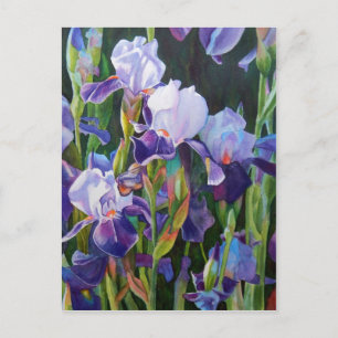 Iris Blomsterträdgård Vykort