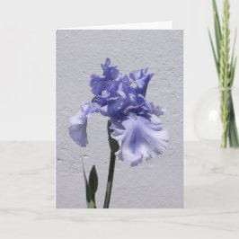 Iris Bloom Kort
