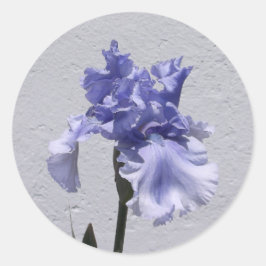 Iris Bloom Runt Klistermärke