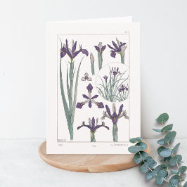 Iris Botanical Maurice Verneuil Blank Card Kort