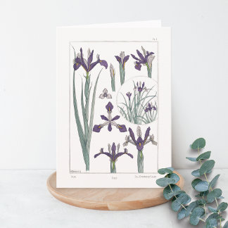 Iris Botanical Maurice Verneuil Blank Card Kort
