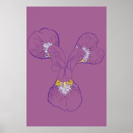 Iris Botanisk Linje Konst Poster