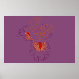 Iris Botanisk Linje Konst Poster