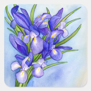 Iris Bouquet Flower Painting Sticker Fyrkantigt Klistermärke