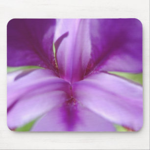 Iris Center Musmatta