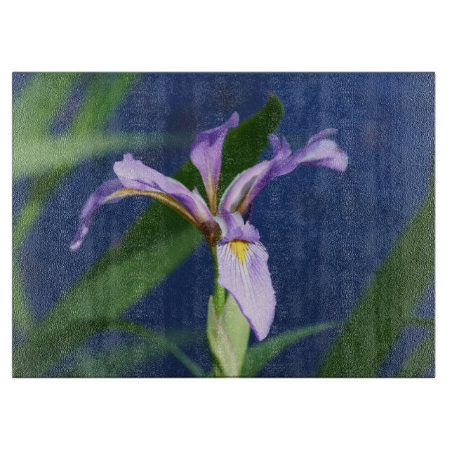 Iris Clearboard (Framsidan)