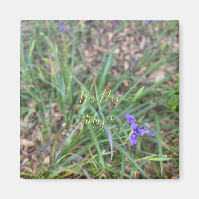 Iris Day Magnet (Framsidan)