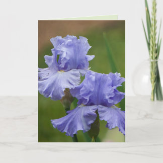 Iris Delight Kort