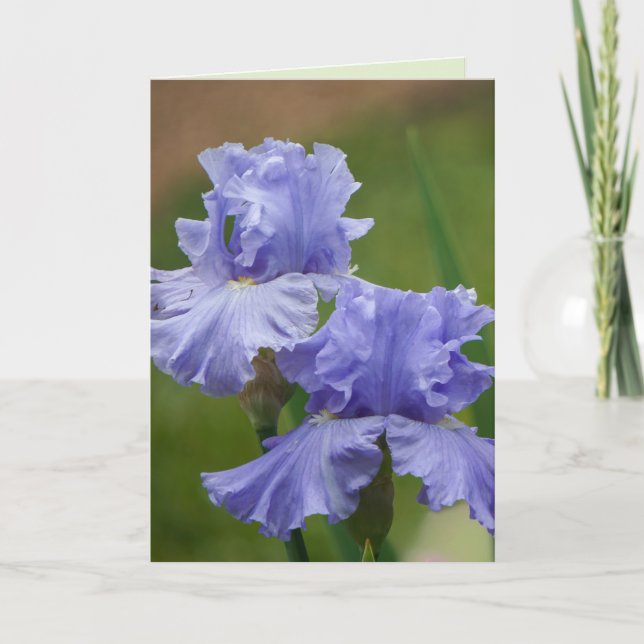 Iris Delight Kort (Framsida)