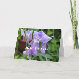 Iris efter regnet. kort