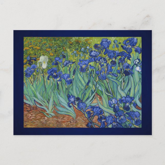 Iris Elegans: Van Goghs Tidlösa Mästerverk Vykort (Framsida)
