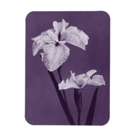 Iris Fine Art Magnet