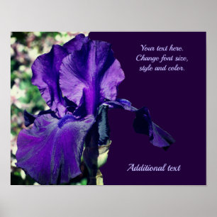Iris Flower Add Your Text Personlig Poster