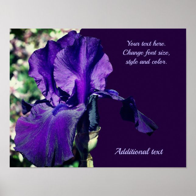 Iris Flower Add Your Text Personlig Poster (Framsidan)