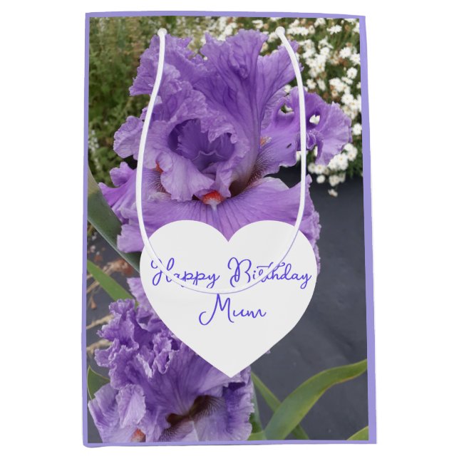Iris Flower Flowers Purple Lavender Lilac Floral (Framsidan)