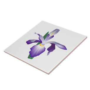 Iris Flower Kakelplatta