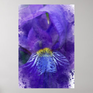 Iris Flower Lila Watercolor Poster