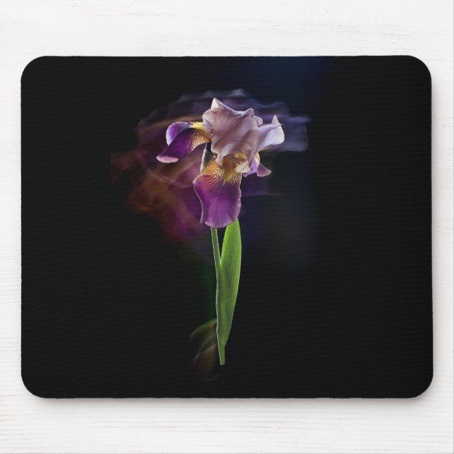 Iris flower on a black background. Long exposure. Musmatta (Framsidan)