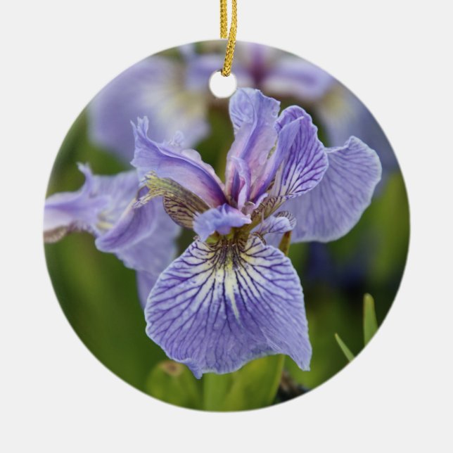 Iris Flower Ornament (Framsidan)