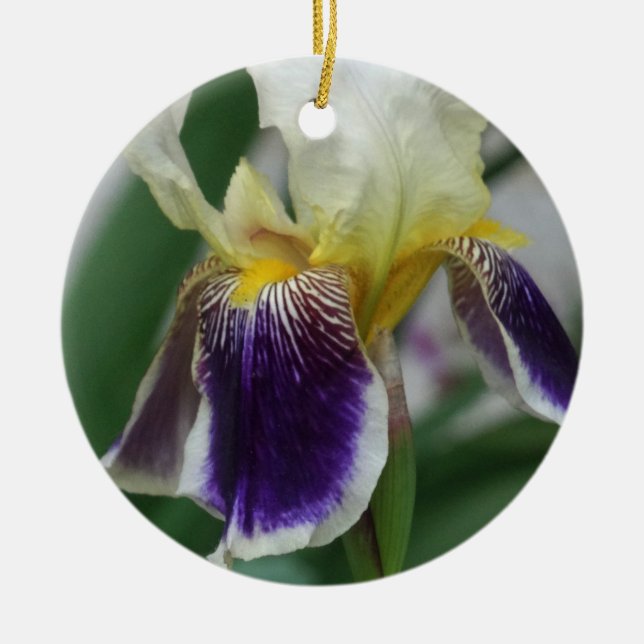 Iris Flower Photo Circle Ornament (Framsidan)