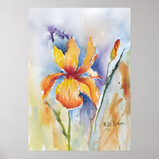 Iris Flower Poster
