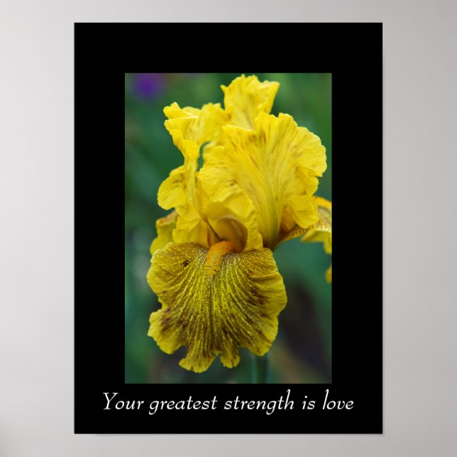 Iris Flower-Poster för inspirationskvot Poster (Framsidan)