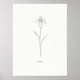 Iris Flower Skriv ut Poster