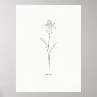 Iris Flower Skriv ut Poster