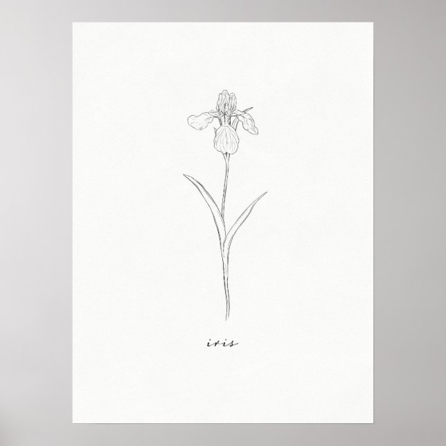 Iris Flower Skriv ut Poster (Framsidan)