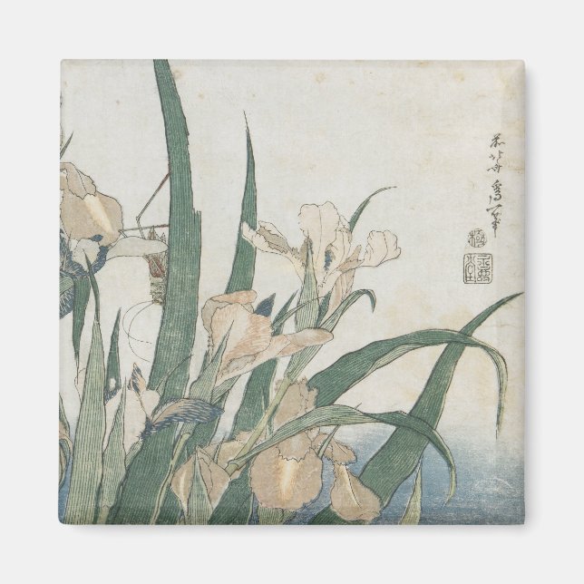 Iris Flowers and Grashopper, 1830-31 Magnet (Framsidan)