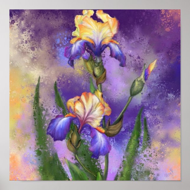 Iris Flowers Lila Irises Poster färgning (Framsidan)