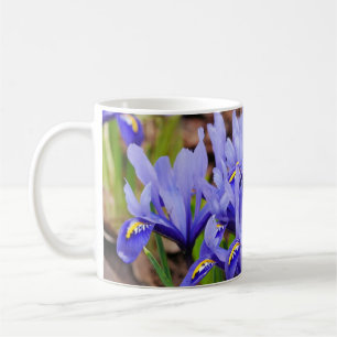 Iris Flowers Mugg