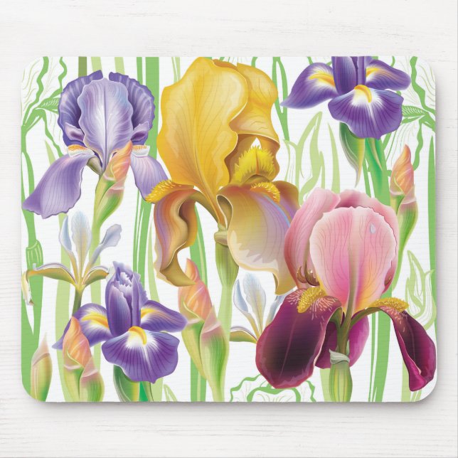 Iris Flowers Musmatta (Framsidan)