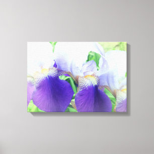 Iris Flowers Photography Kanvastryck