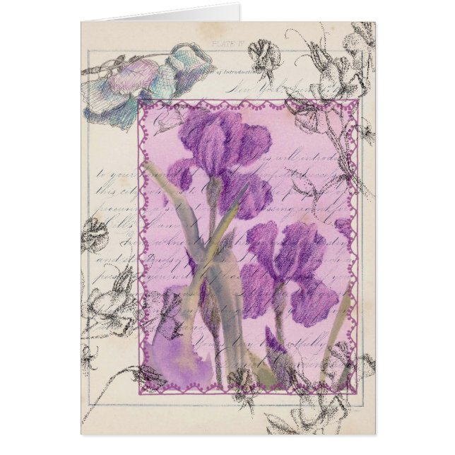 Iris Flowers Plant Victorian Stil Collage Hälsningskort (Framsidan)