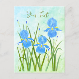Iris Flowers Postcards Vykort