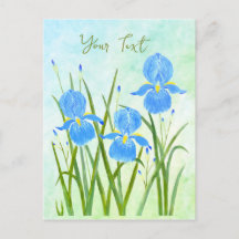 Iris Flowers Postcards