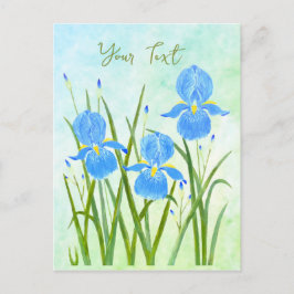 Iris Flowers Postcards Vykort