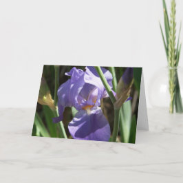 Iris Garden Greeting Card Kort
