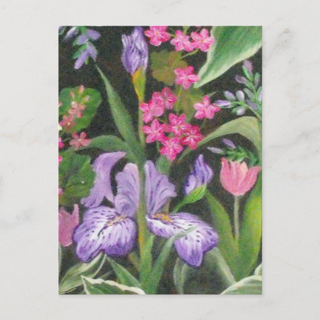 Iris Garden Postcard Vykort (Framsida)