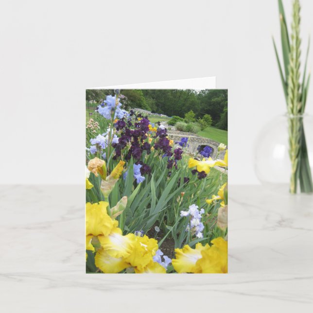 Iris Garden Small Blank Note Card Kort (Framsida)