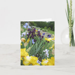 Iris Garden Small Blank Note Card Kort