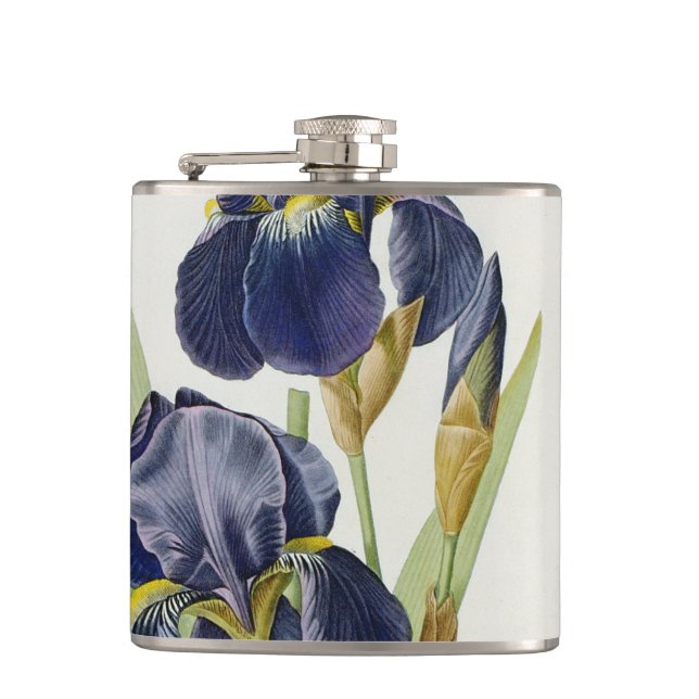 Iris Germanica, från "Les Liliacees", 1805 Fickplunta (Framsidan)