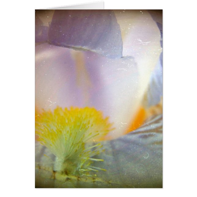 Iris Hälsningskort (Framsidan)