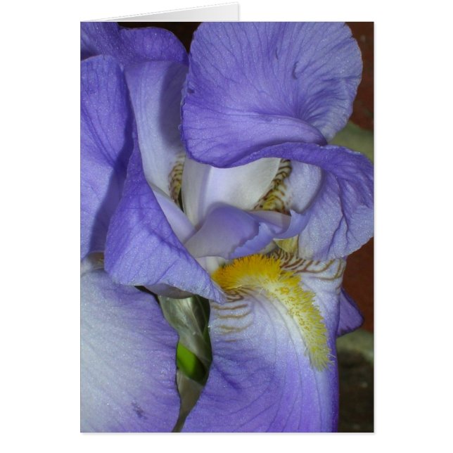Iris Hälsningskort (Framsidan)