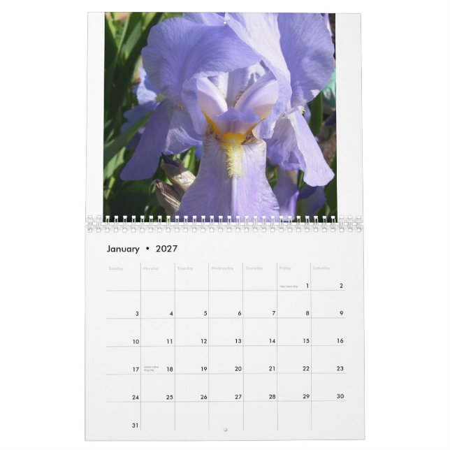 Iris i trädgården kalender (Jan 2027)