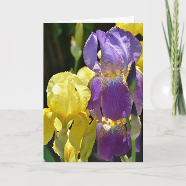 Iris i Vår Kort (Framsida)