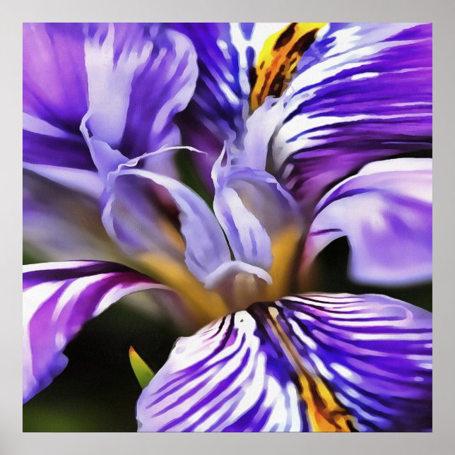 Iris In Violet Lilac och Lila Botanical Art Poster (Framsidan)